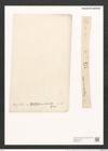 Nitzschia angularis var. accidentalis Grun. (de-Toni-Nr.: Genus 47, Species 2086) Zeichnungen Sammlung Grunow (NHMW-BOT-W0372024)